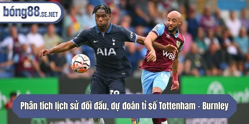 Phân tích lịch sử đối đầu, dự đoán tỉ số Tottenham - Burnley